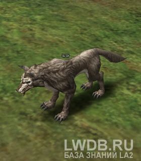  - Wolf