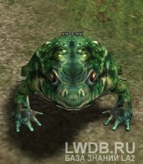   - Giant Toad