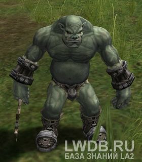  - Orc