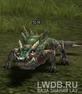  - Alligator