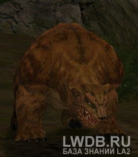  - Grizzly