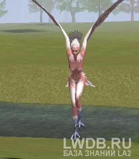  - Harpy