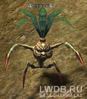   - Mandragora Sprout
