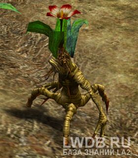  - Mandragora Sapling
