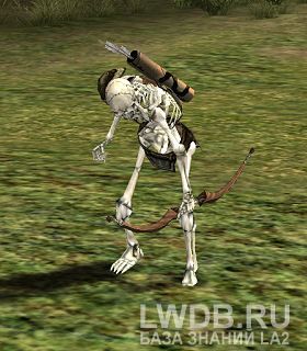   - Skeleton Marauder