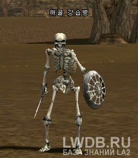   - Skeleton Raider