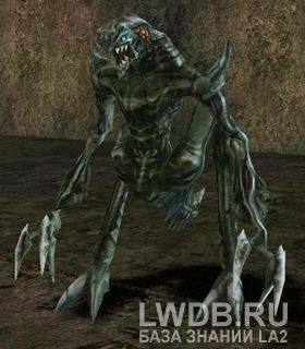  - Validus