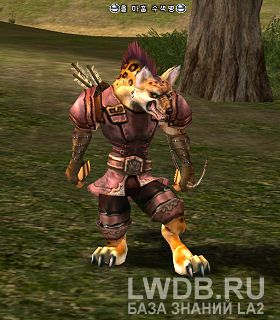   - Ol Mahum Ranger
