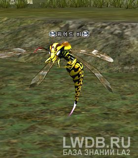   - Stinger Wasp