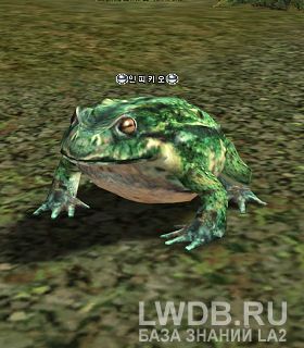   - Toad Lord
