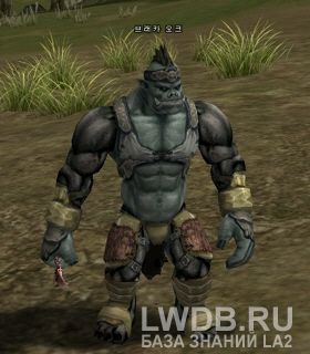   - Breka Orc