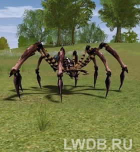   - Hook Spider
