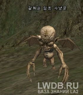    - Rakeclaw Imp Hunter