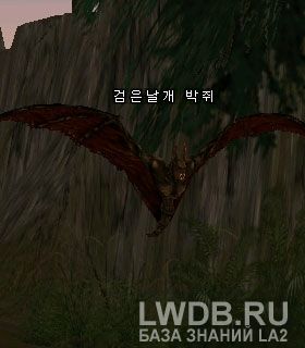    - Darkwing Bat