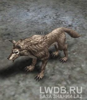    - Black Timber Wolf