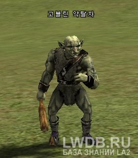   - Goblin Raider