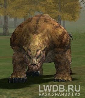 - Grizzly Bear