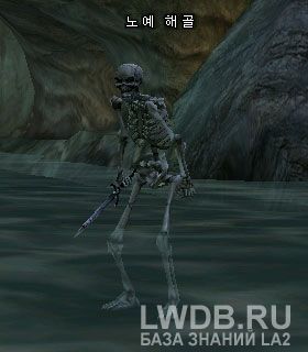  - Slave Skeleton