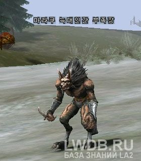    - Maraku Werewolf Chieftain
