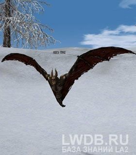    - Barbed Bat