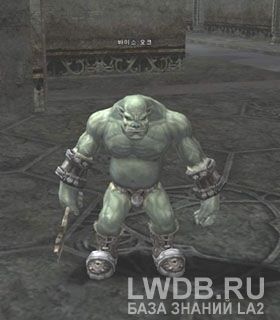   - Vaiss Orc