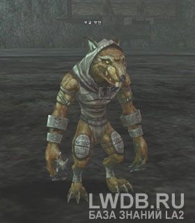   - Boogle Ratman