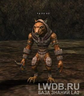    - Boogle Ratman Leader