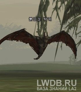    - Redeye Bat