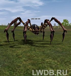    - Red Scavenger Spider