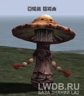   - Blood Fungus