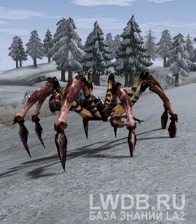   - Hunter Tarantula