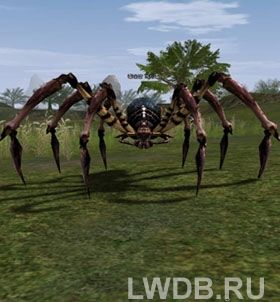   - Scavenger Spider