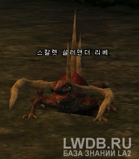    - Scarlet Salamander Elder
