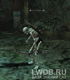    - Akaste Bone Archer