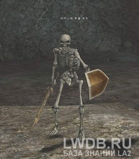    - Akaste Bone Lord