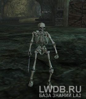    - Akaste Bone Soldier