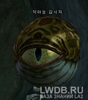    - Evil Eye Watcher