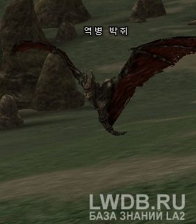    - Festering Bat