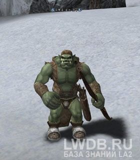    - Utuku Orc Archer