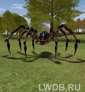   - Crimson Spider