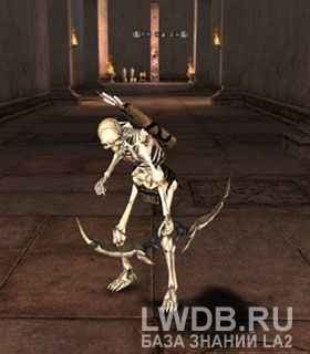    - Dungeon Skeleton Archer