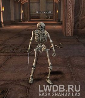  - Dungeon Skeleton