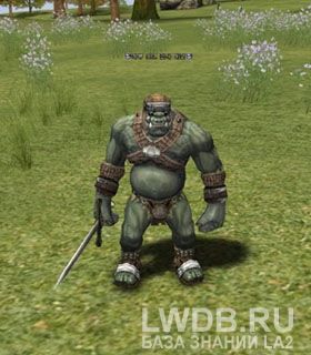     - Kaboo Orc Fighter Leader
