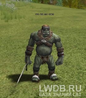     - Kaboo Orc Fighter Lieutenant