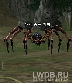    - Kasha Fang Spider
