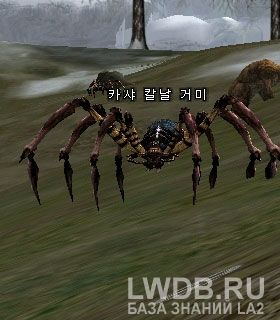    - Kasha Blade Spider