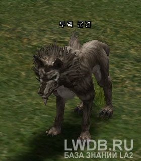   - Turek War Hound