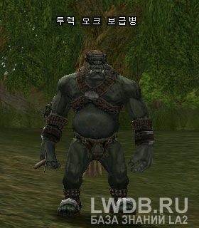    - Turek Orc Supplier