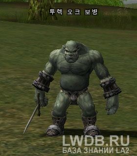    - Turek Orc Footman