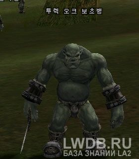    - Turek Orc Sentinel
